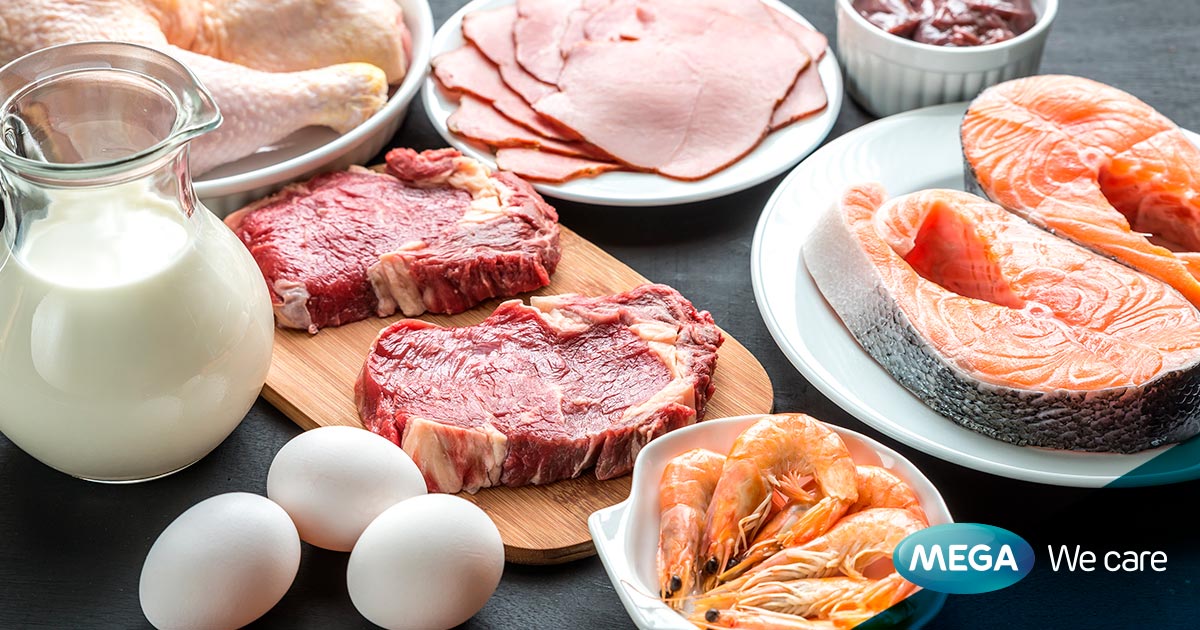 ¿Cuáles son los alimentos que suben el colesterol malo?